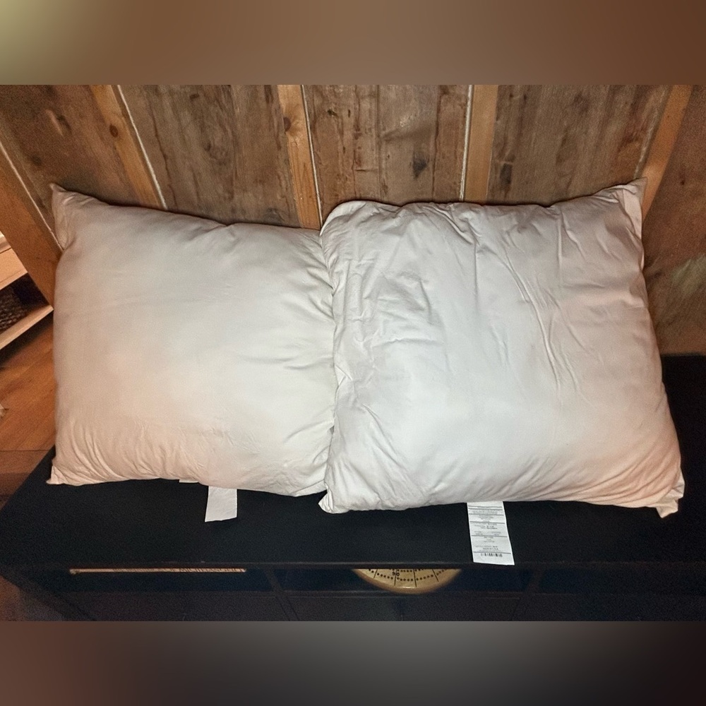 Pottery Barn Euro Pillows x2